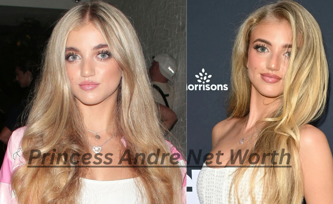 Antonimar Mello Princess Andre Net Worth